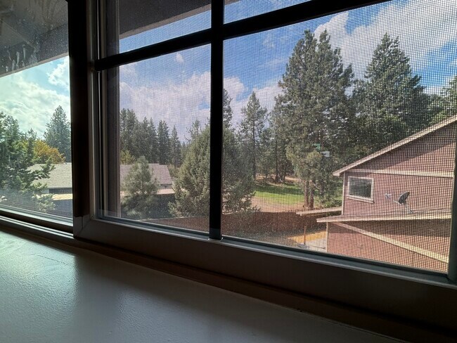 Building Photo - 61208 Brittle Bush St