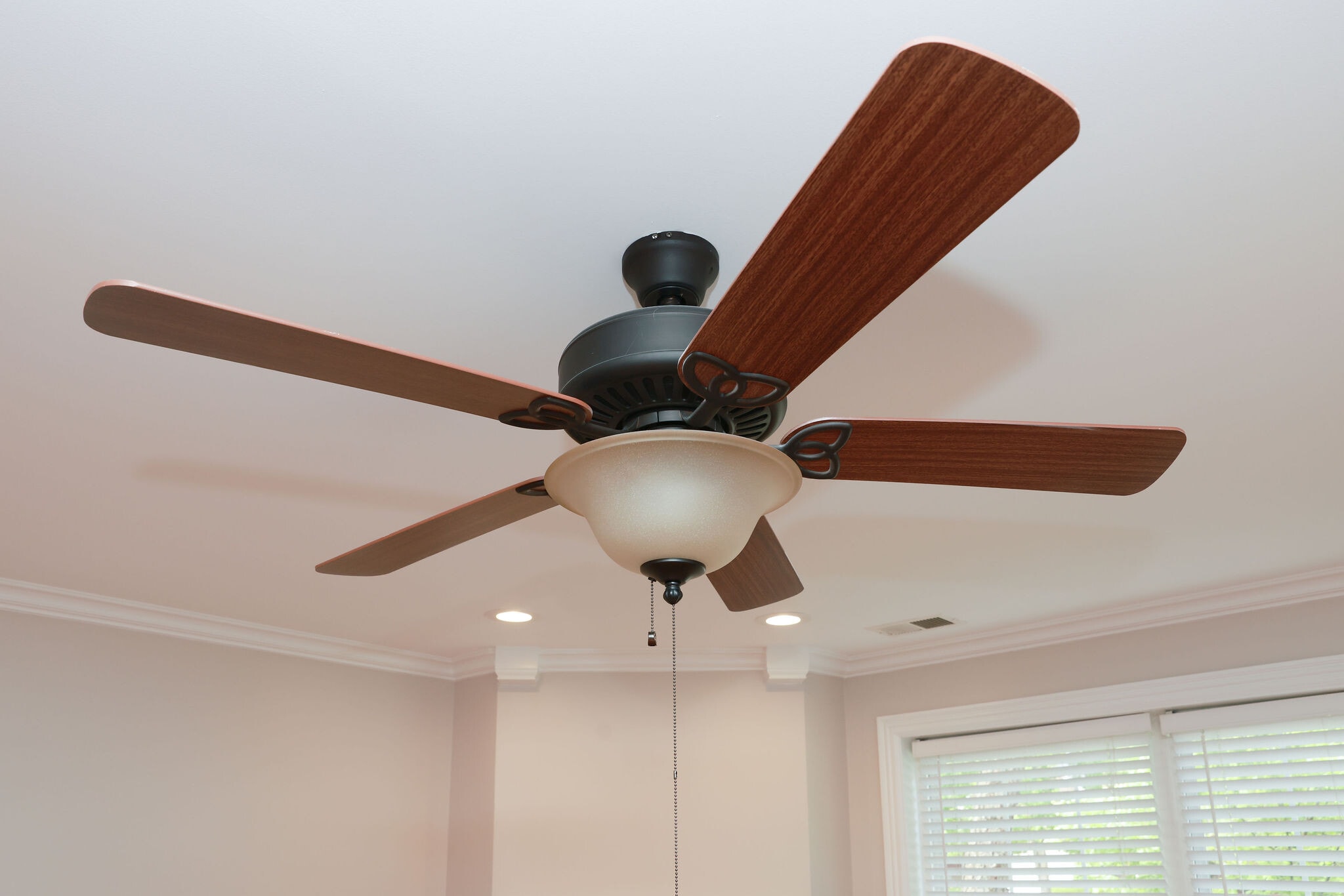 Building Photo - 3288 Snaffle Rd