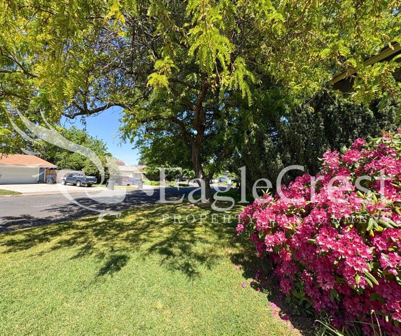 Building Photo - 3 Bedroom 2 Bathroom Single Family Home With Great Outdoor Space!!