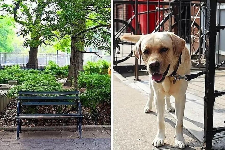 Building Photo - 13 Essex St