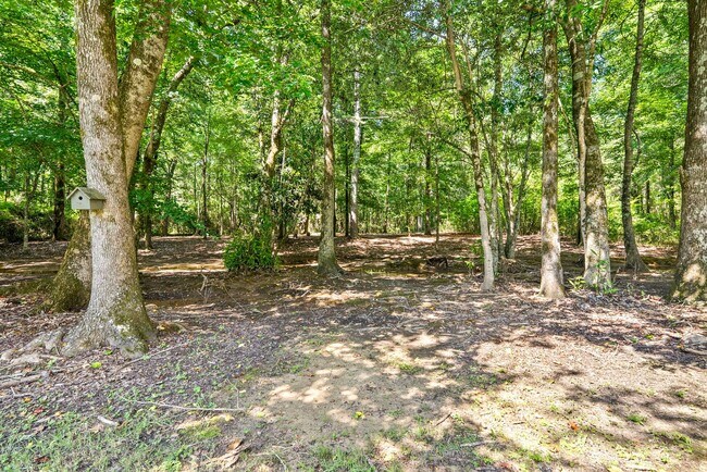 Building Photo - 4264 Live Oak Dr
