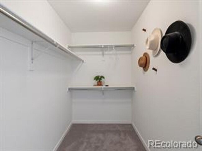 Building Photo - ***Beautiful 4 bed 3 bath nearly-new home ...