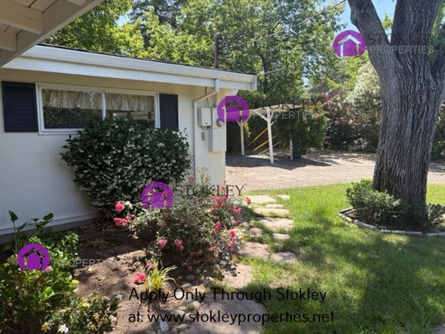 Building Photo - Stokley Properties Presents 1558 1St. Ave....