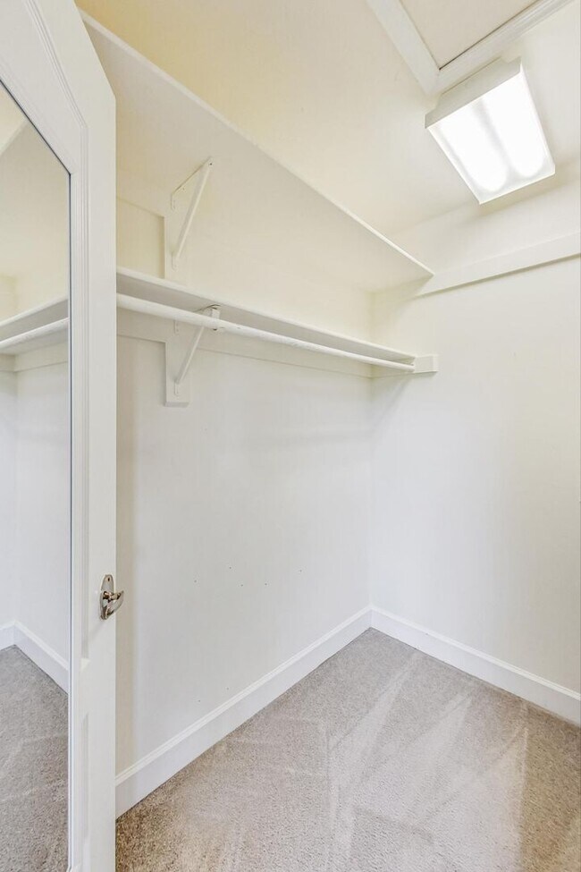 Building Photo - Cool on Cool Spring! Large SF 4 Bed + 2.5 BA