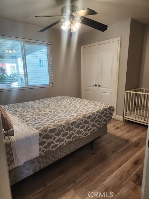 Building Photo - 501 S Courtney Ave