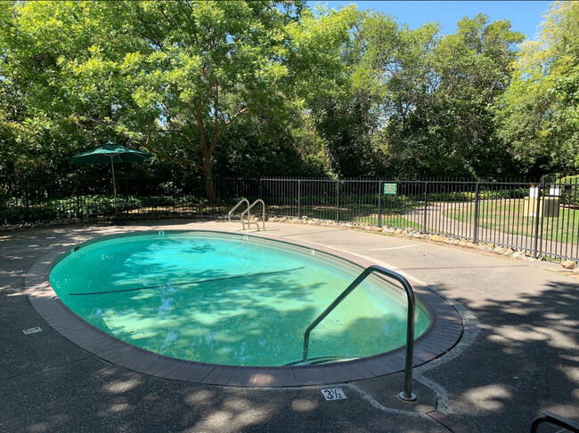 One of two spa pools - 700 Woodside Ln E