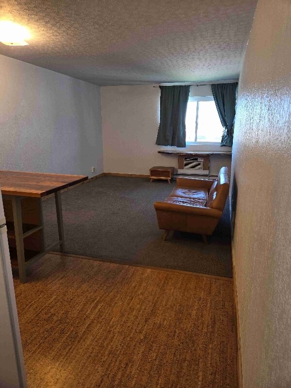 Building Photo - 925 1st Ave N