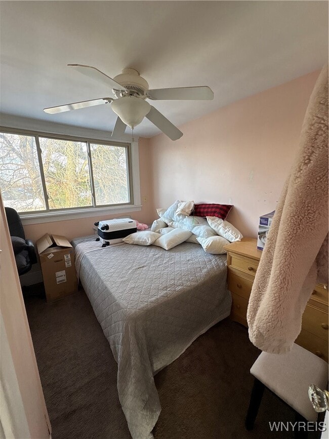 Building Photo - 5334 Genesee St