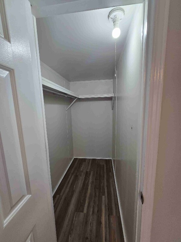 Building Photo - 415 Walker Dr