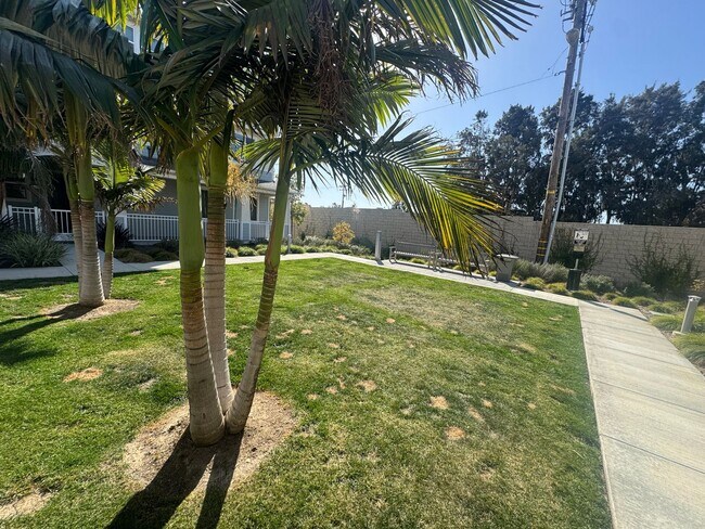 Building Photo - Gorgeous Newly Constructed Townhome