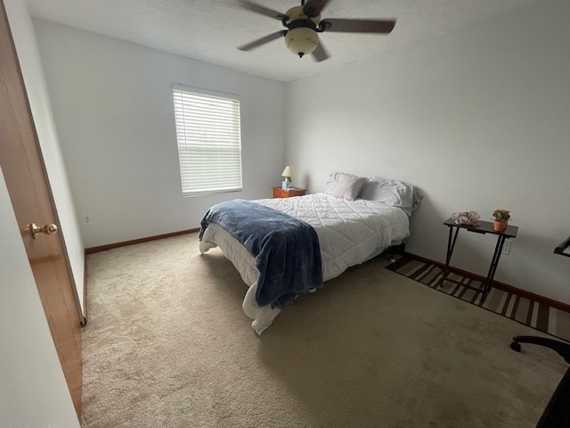 Building Photo - 463 Cambridge Dr