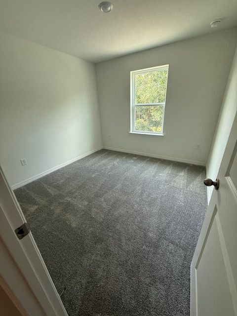 Building Photo - 5236 Luisa Ct
