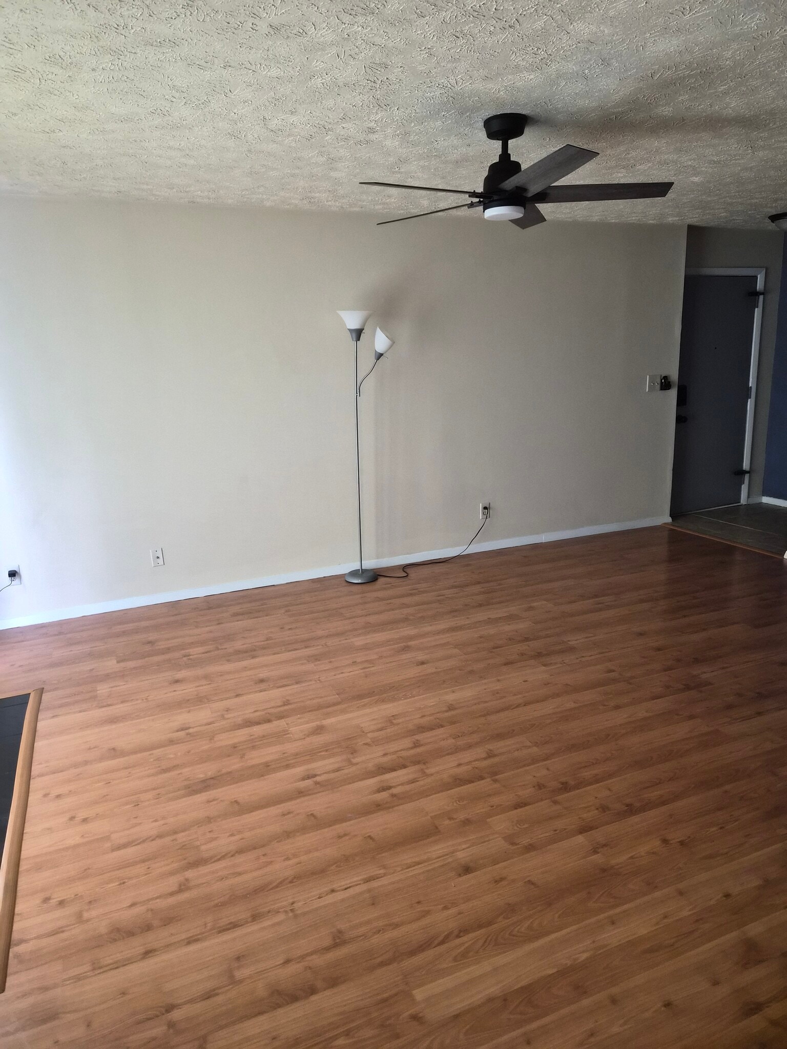 Livingroom Area - 1600 Northbrook Dr
