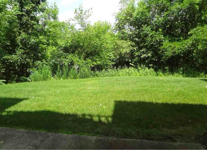 Building Photo - 1584 Crystal Rock Ct