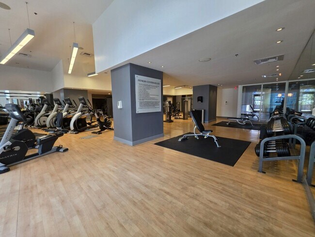 Building Photo - Fantastice High Rise with Full City Views!