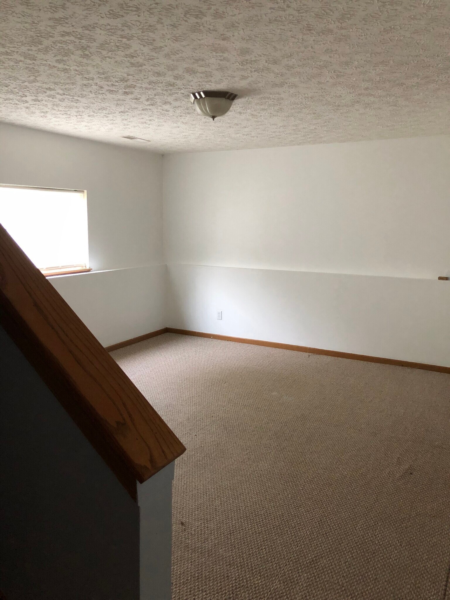 Lower level - 1254 Wyley Ave