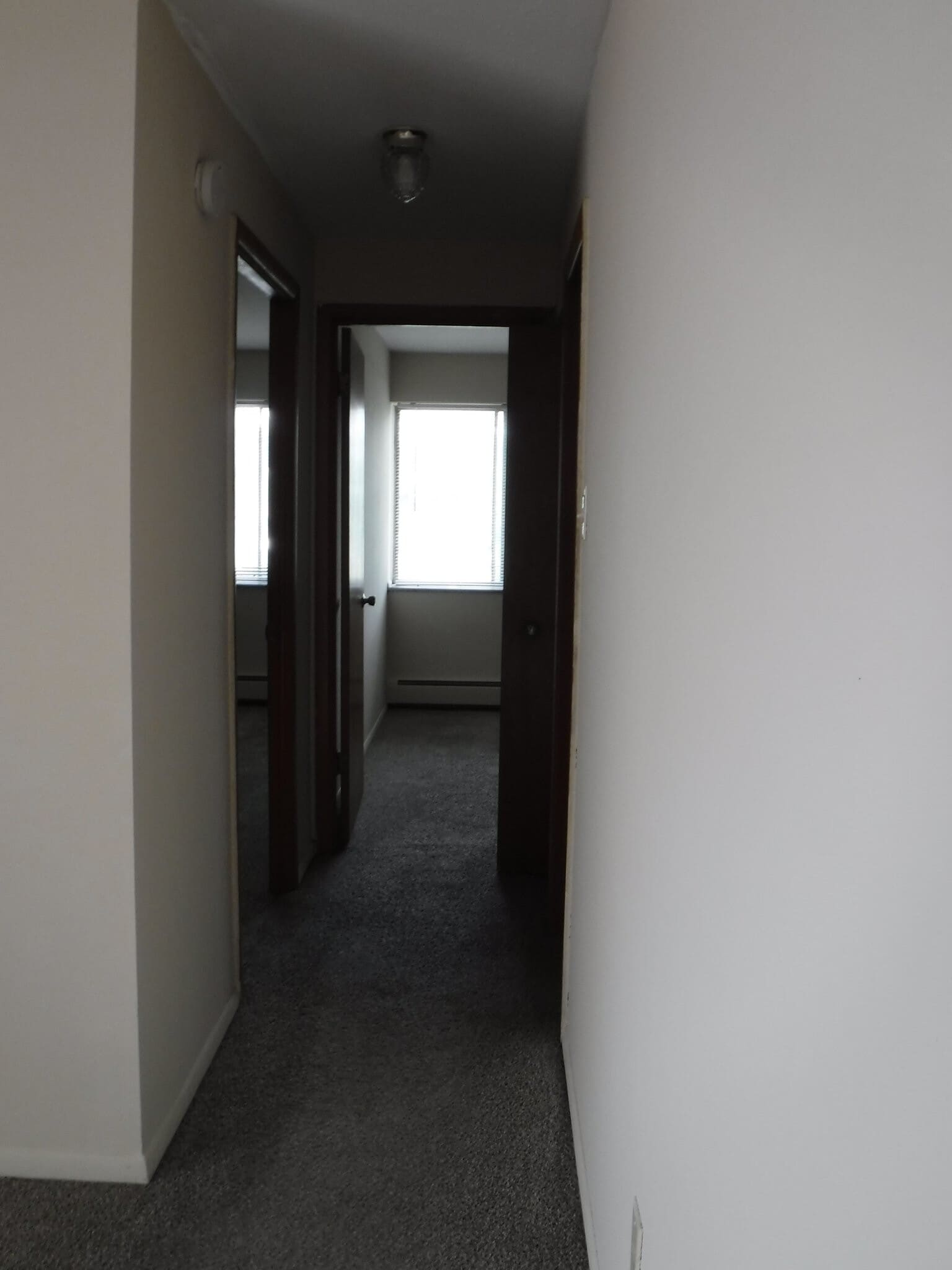 Building Photo - 1277 Cove Ave