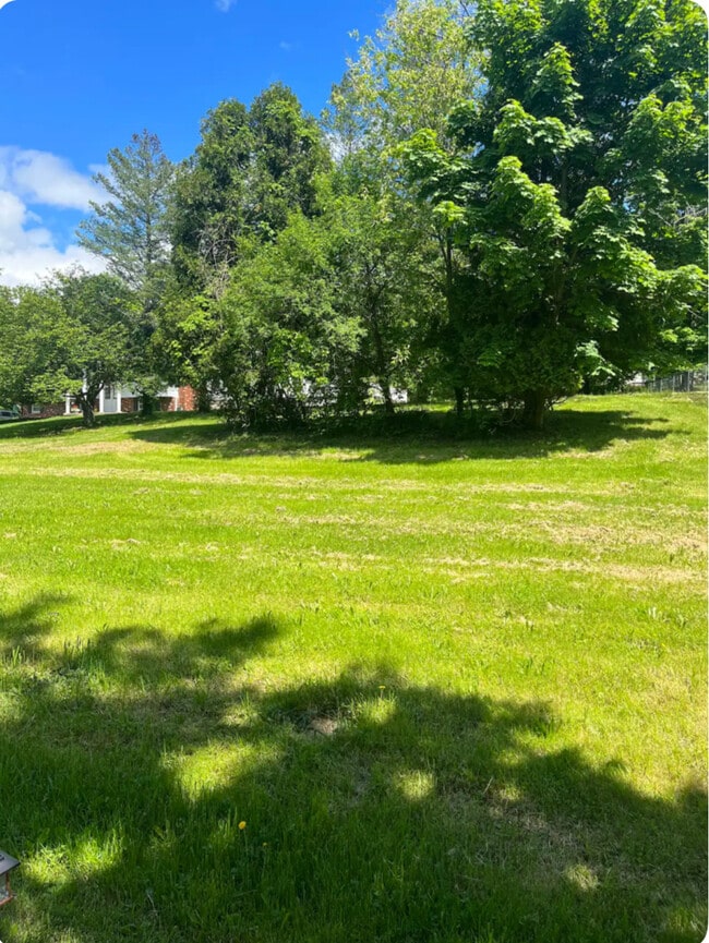 Backyard - 18 Court Rd