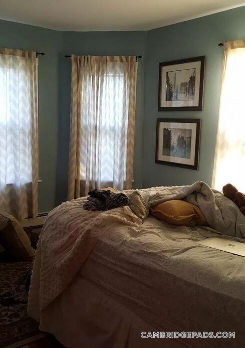 Building Photo - 173 Rindge Ave