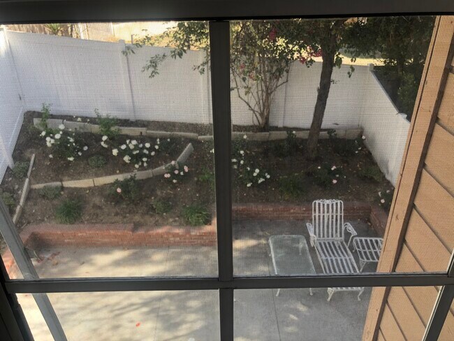 Little yard low maintenance - 20950 Oxnard St