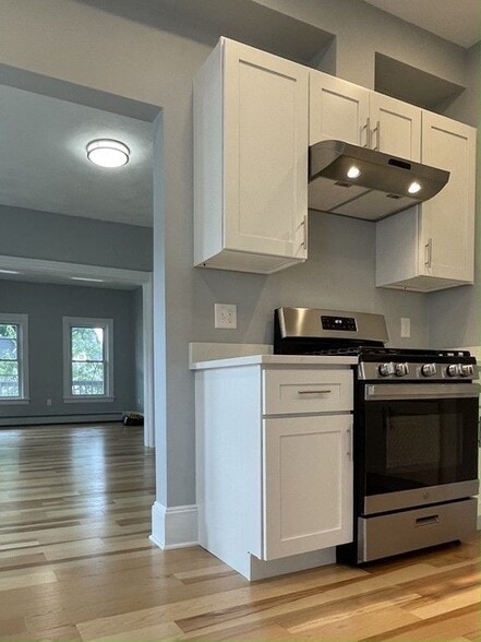 Brand new Kitchen - 108 Pine St