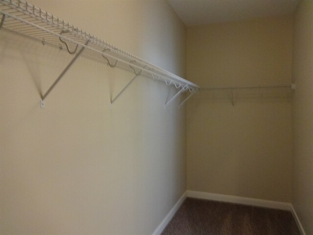 Building Photo - 308 Nuttall Dr