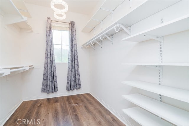 Building Photo - 3016 Walking Beam Pl