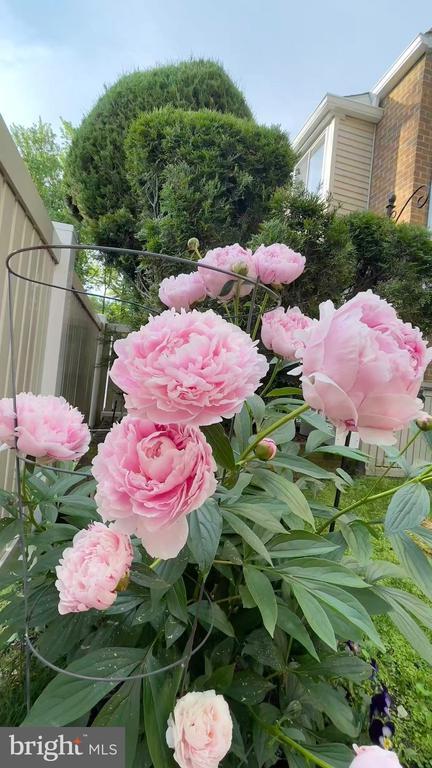 Building Photo - 1017 Oaklyn Ct