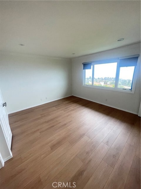 Building Photo - 28019 Braidwood Dr