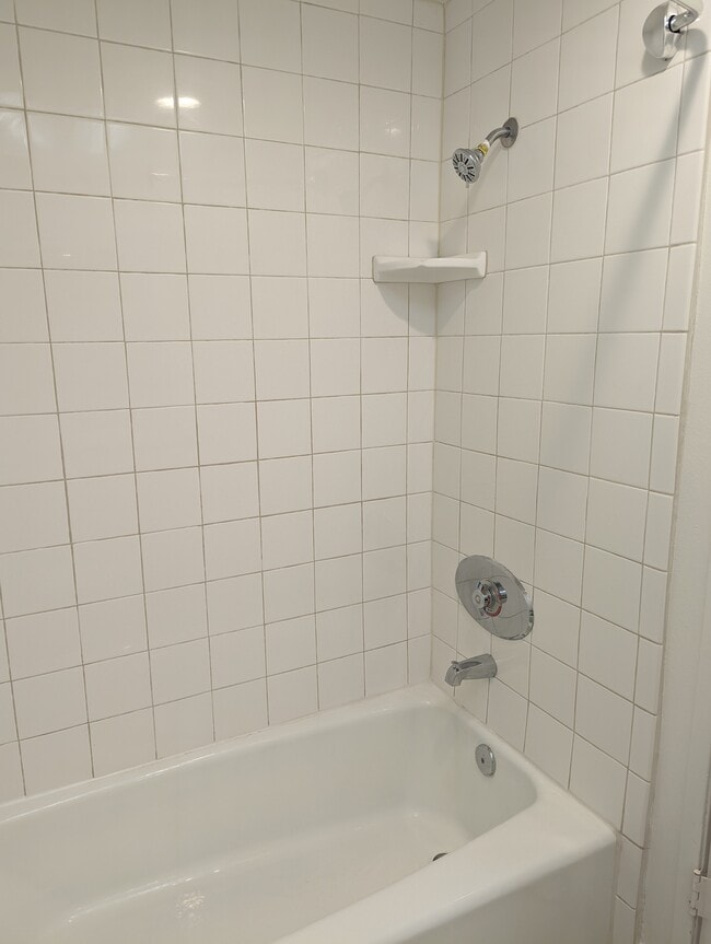 Hall bathroom tub/shower - 2960 W 235th St