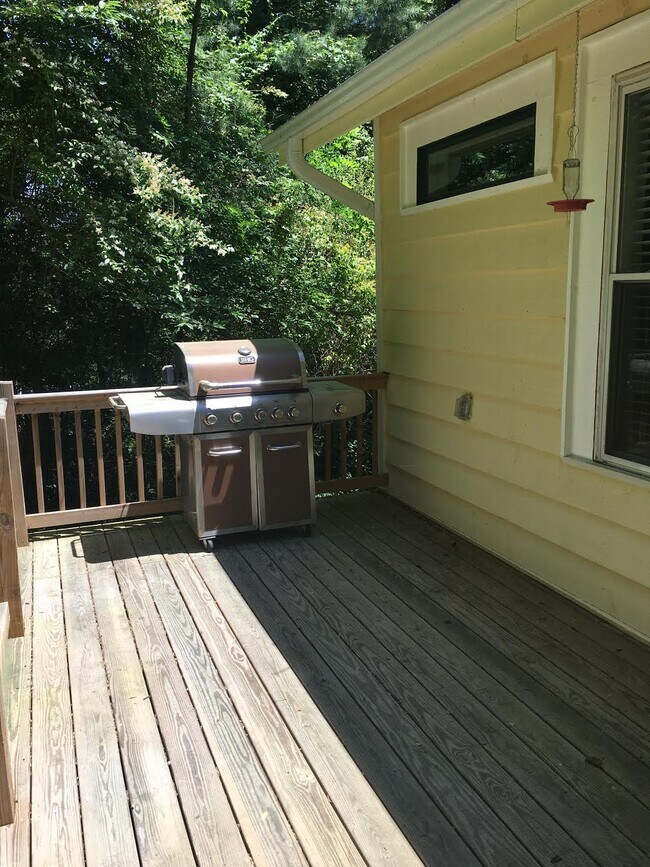 Building Photo - 10 Highland Lake Drive-Flat Rock Cottage-N...