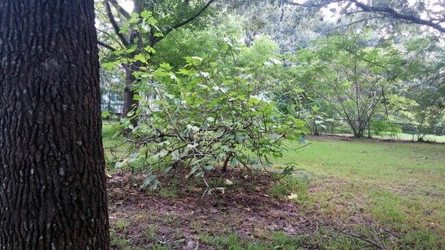 Building Photo - Little Cypress -Mauriceville
