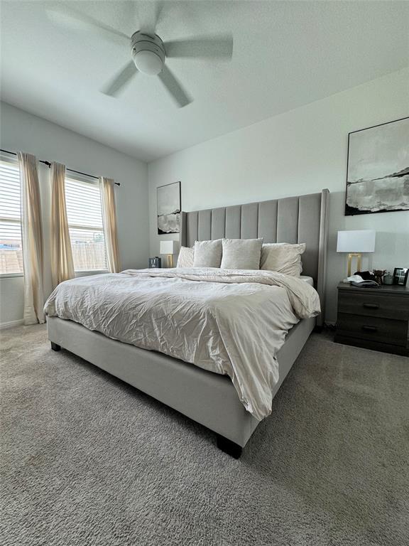 Primary Photo - 2250 Carrizo Spgs Path