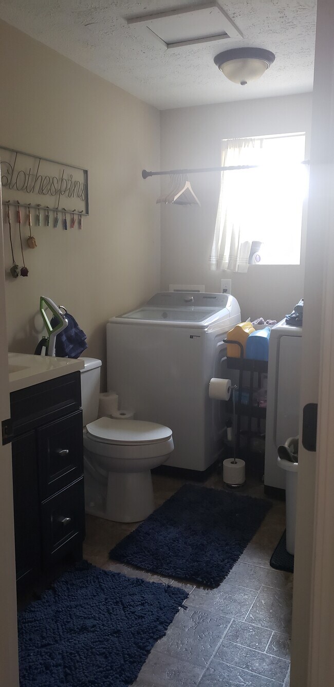 Lower level laundry and bath - 316 Wardley Rd