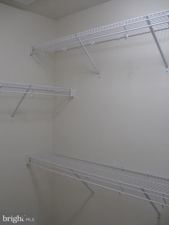 Building Photo - 6158 Carey Park Ln