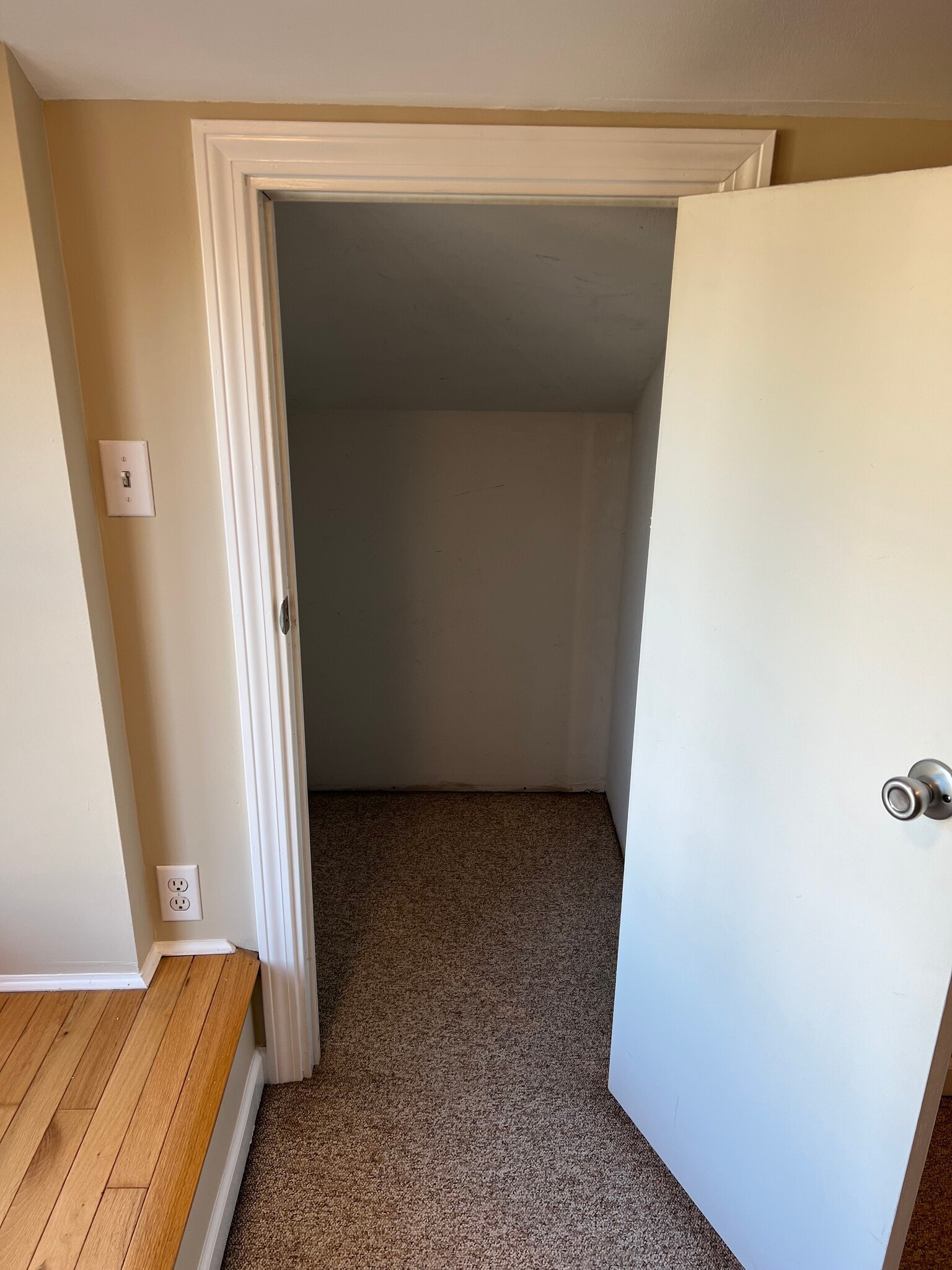 Closet in the bonus room. - 176 Duer St