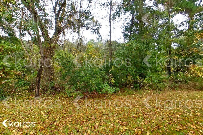 Building Photo - 601 Ferguson Ln