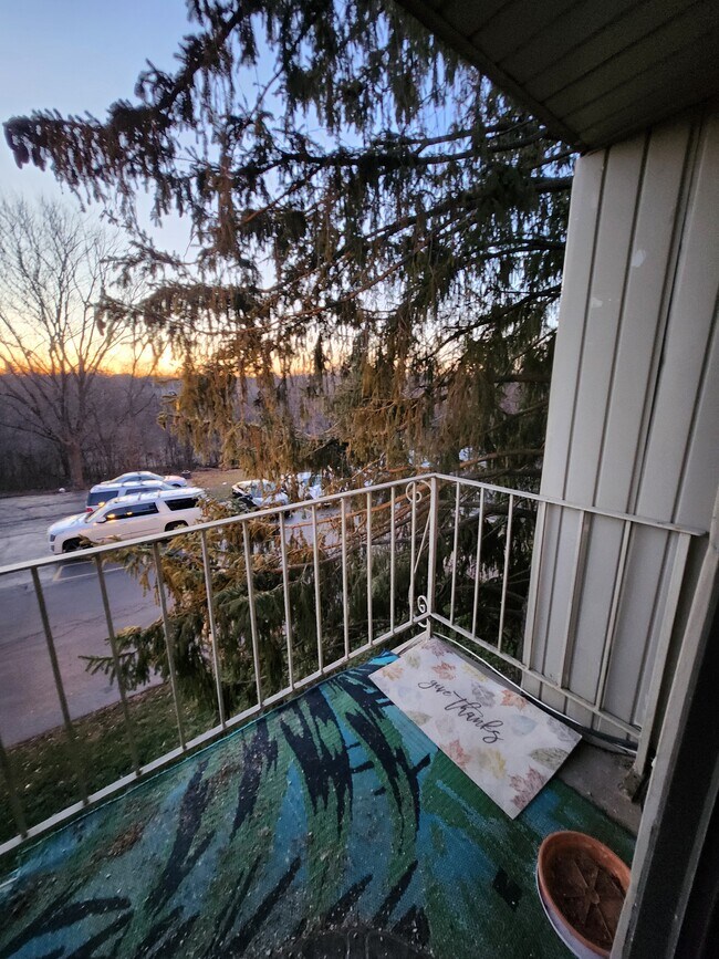 Balcony 2 - 134 E Bailey Rd