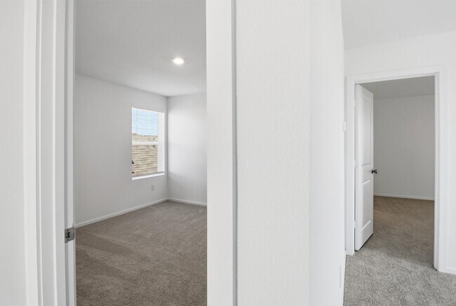 Building Photo - 26914 Dalmatian Bellflower Dr