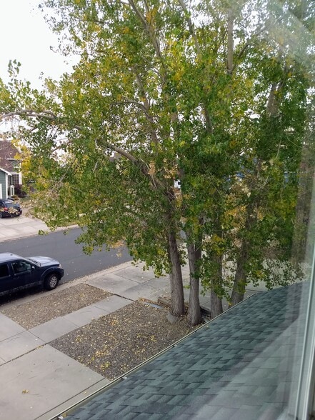 View From Bedroom 2 - 5016 Prairie Grass Ln