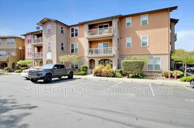 Building Photo - 237 Pacifica Blvd