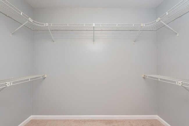 Building Photo - Beautiful Ranch Home in Thompson Station