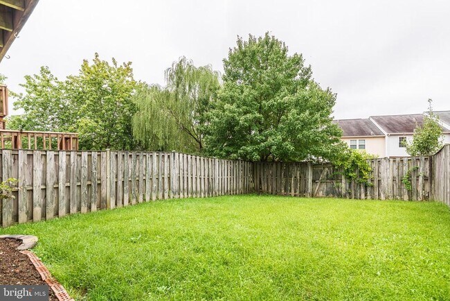 Building Photo - 3348 Raccoon Ct