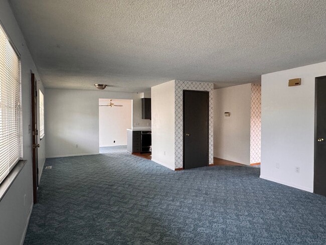 Building Photo - Large 3 br 1 ba charming home