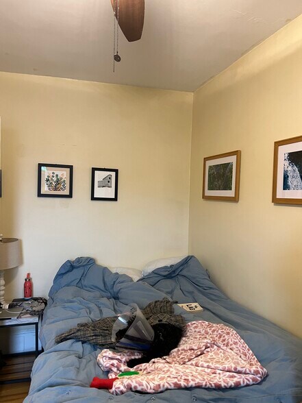 Building Photo - 42 Gorham St