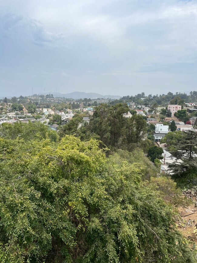 Building Photo - 1649 Sargent Pl