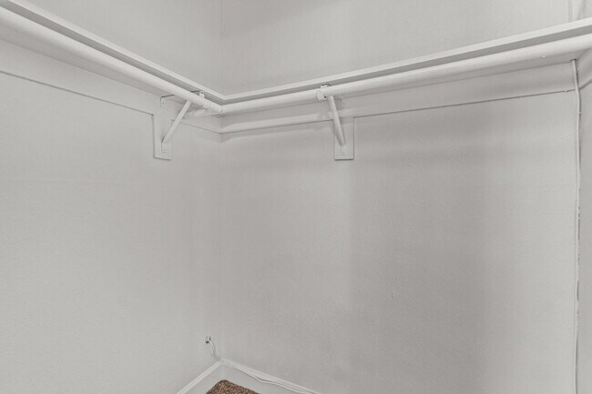 Building Photo - 3825 E Camelback Rd