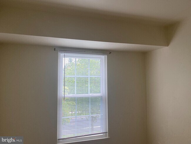 Building Photo - 14905 Cleese Ct