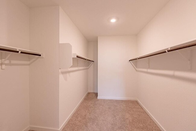 Building Photo - 2901 Louris Ln