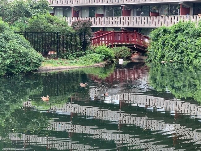 Building Photo - 200 Swanton St